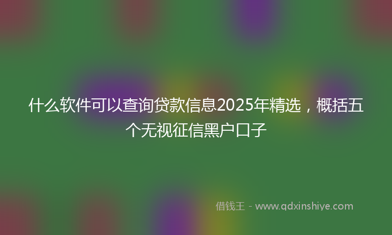 什么软件可以查询贷款信息2025年精选，概括五个无视征信黑户口子
