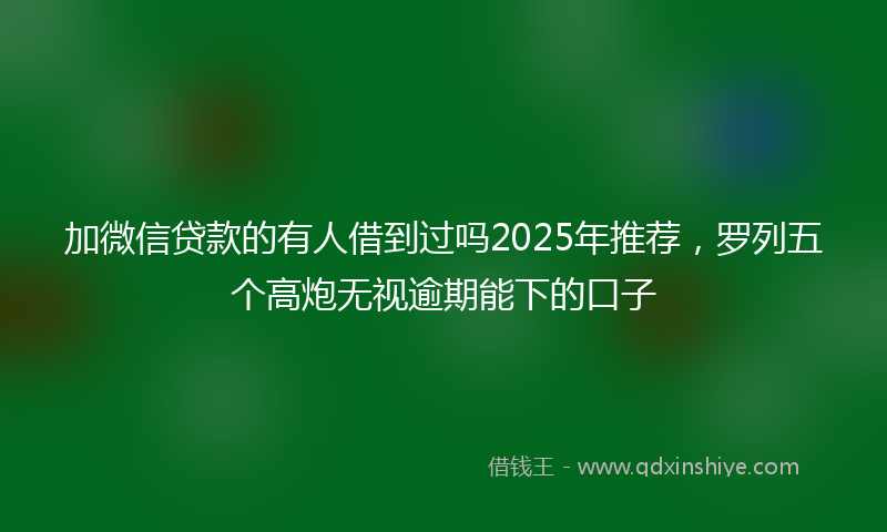 加微信贷款的有人借到过吗2025年推荐，罗列五个高炮无视逾期能下的口子