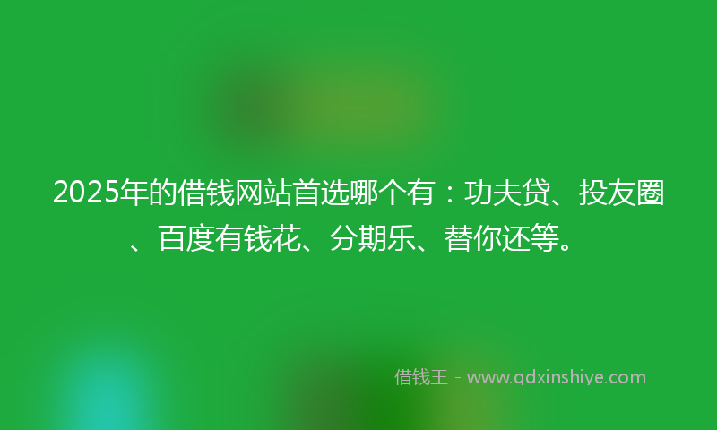 2025年的借钱网站首选哪个有：功夫贷、投友圈、百度有钱花、分期乐、替你还等。