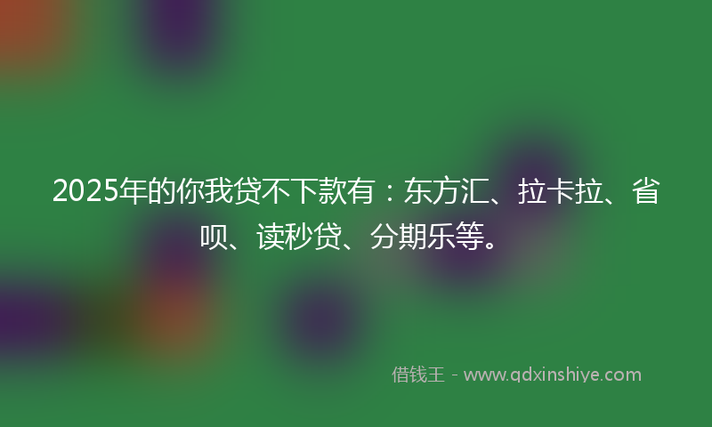 2025年的你我贷不下款有：东方汇、拉卡拉、省呗、读秒贷、分期乐等。