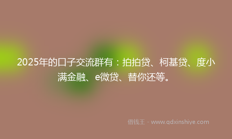 2025年的口子交流群有：拍拍贷、柯基贷、度小满金融、e微贷、替你还等。
