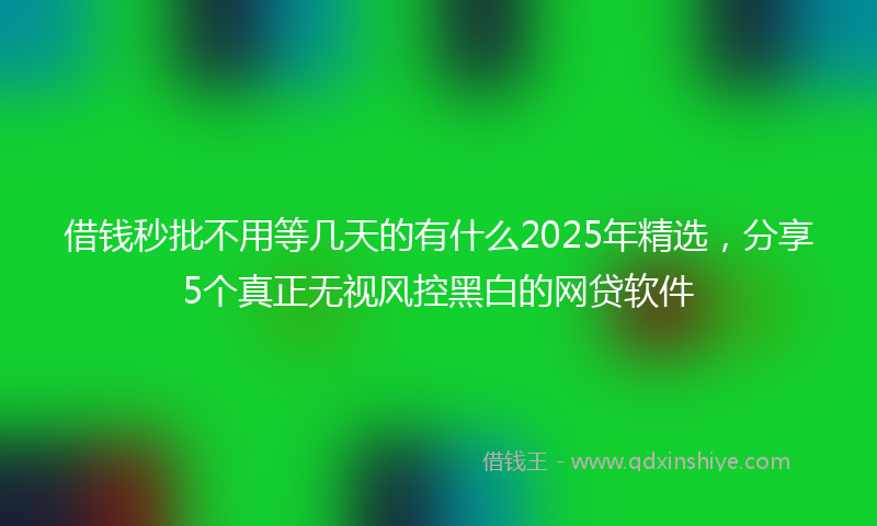 借钱秒批不用等几天的有什么2025年精选，分享5个真正无视风控黑白的网贷软件
