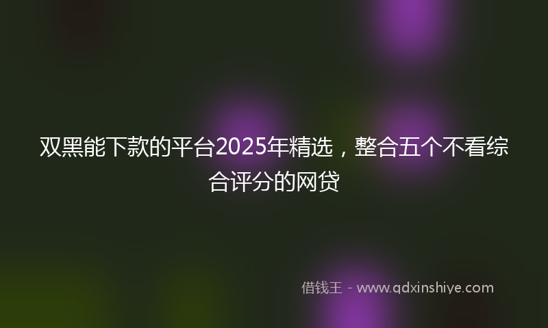 双黑能下款的平台2025年精选，整合五个不看综合评分的网贷