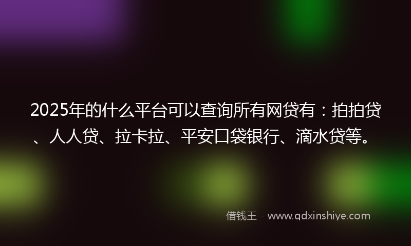 2025年的什么平台可以查询所有网贷有：拍拍贷、人人贷、拉卡拉、平安口袋银行、滴水贷等。