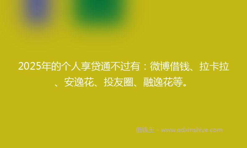 2025年的个人享贷通不过有：微博借钱、拉卡拉、安逸花、投友圈、融逸花等。