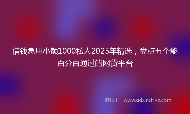 借钱急用小额1000私人2025年精选，盘点五个能百分百通过的网贷平台
