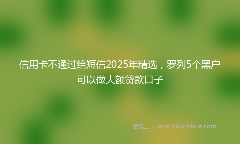 信用卡不通过给短信2025年精选，罗列5个黑户可以做大额贷款口子