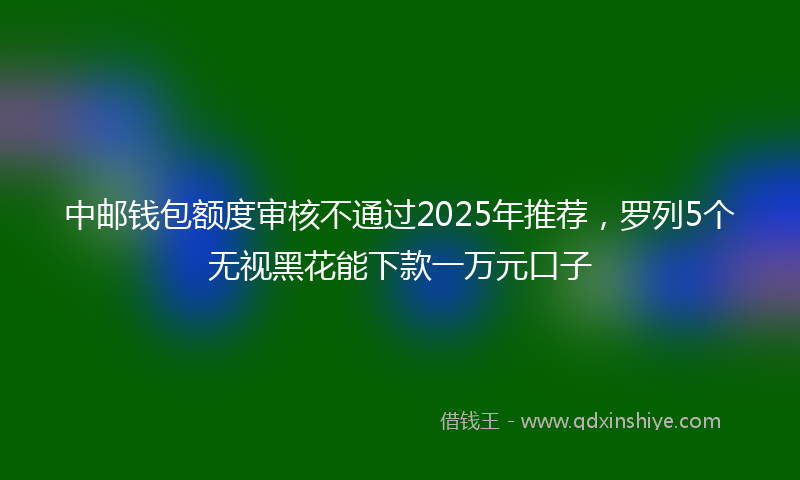 中邮钱包额度审核不通过2025年推荐，罗列5个无视黑花能下款一万元口子