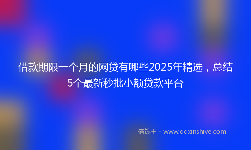 借款期限一个月的网贷有哪些2025年精选，总结5个最新秒批小额贷款平台