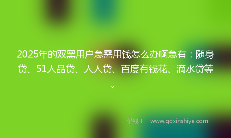 2025年的双黑用户急需用钱怎么办啊急有：随身贷、51人品贷、人人贷、百度有钱花、滴水贷等。
