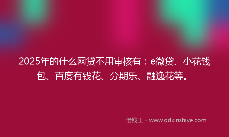 2025年的什么网贷不用审核有：e微贷、小花钱包、百度有钱花、分期乐、融逸花等。