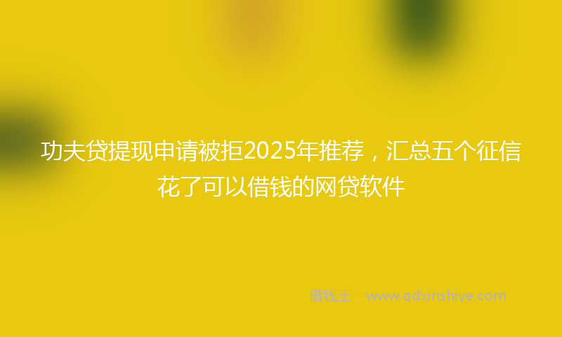 功夫贷提现申请被拒2025年推荐，汇总五个征信花了可以借钱的网贷软件