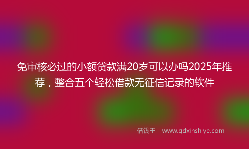 免审核必过的小额贷款满20岁可以办吗2025年推荐，整合五个轻松借款无征信记录的软件