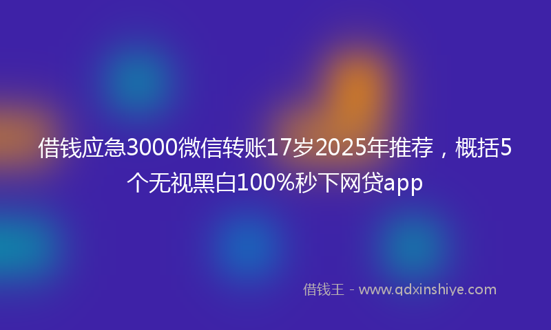 借钱应急3000微信转账17岁2025年推荐，概括5个无视黑白100%秒下网贷app