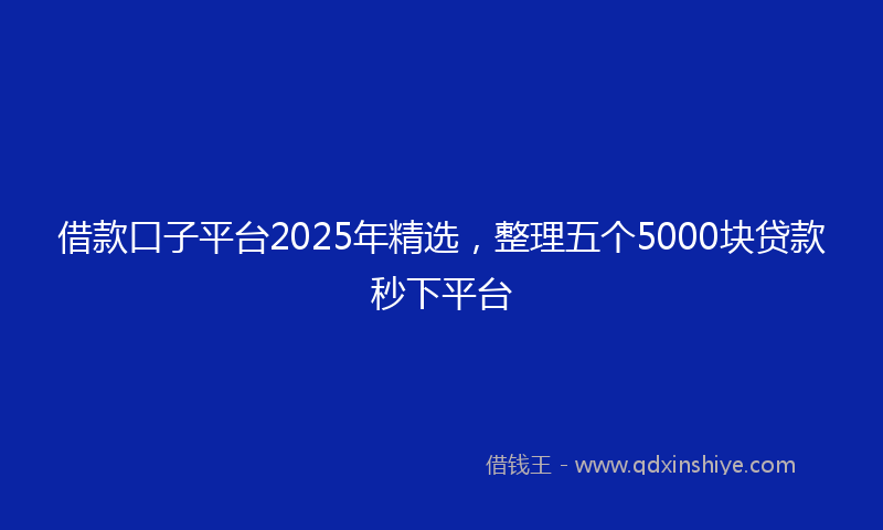 借款口子平台2025年精选，整理五个5000块贷款秒下平台