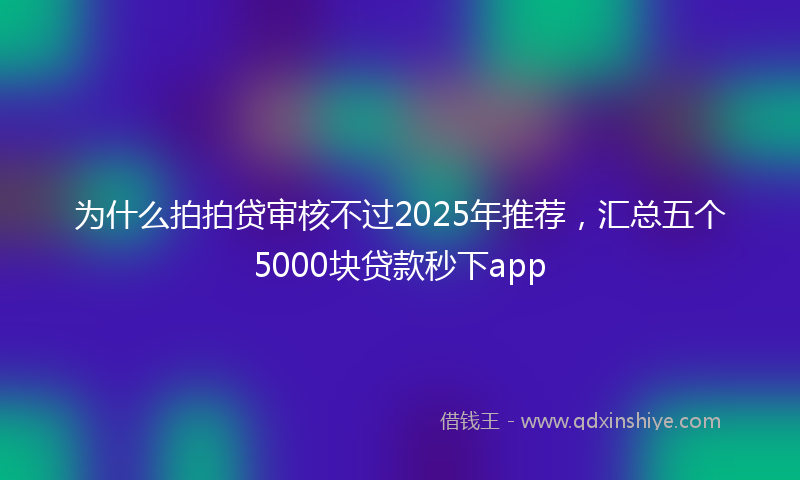 为什么拍拍贷审核不过2025年推荐，汇总五个5000块贷款秒下app