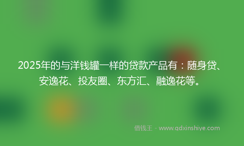 2025年的与洋钱罐一样的贷款产品有：随身贷、安逸花、投友圈、东方汇、融逸花等。
