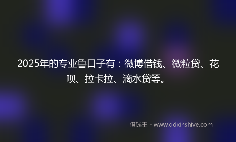 2025年的专业鲁口子有：微博借钱、微粒贷、花呗、拉卡拉、滴水贷等。