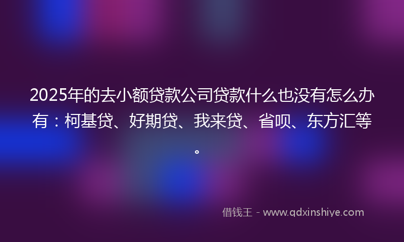 2025年的去小额贷款公司贷款什么也没有怎么办有：柯基贷、好期贷、我来贷、省呗、东方汇等。
