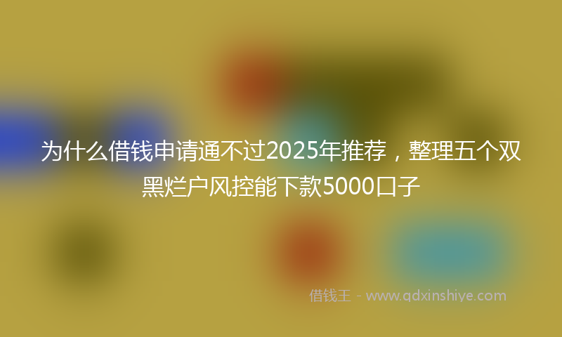 为什么借钱申请通不过2025年推荐，整理五个双黑烂户风控能下款5000口子