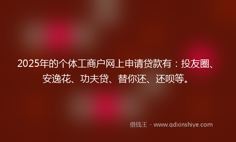 2025年的个体工商户网上申请贷款有：投友圈、安逸花、功夫贷、替你还、还呗等。
