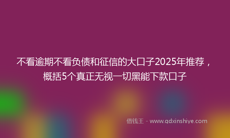 不看逾期不看负债和征信的大口子2025年推荐，概括5个真正无视一切黑能下款口子