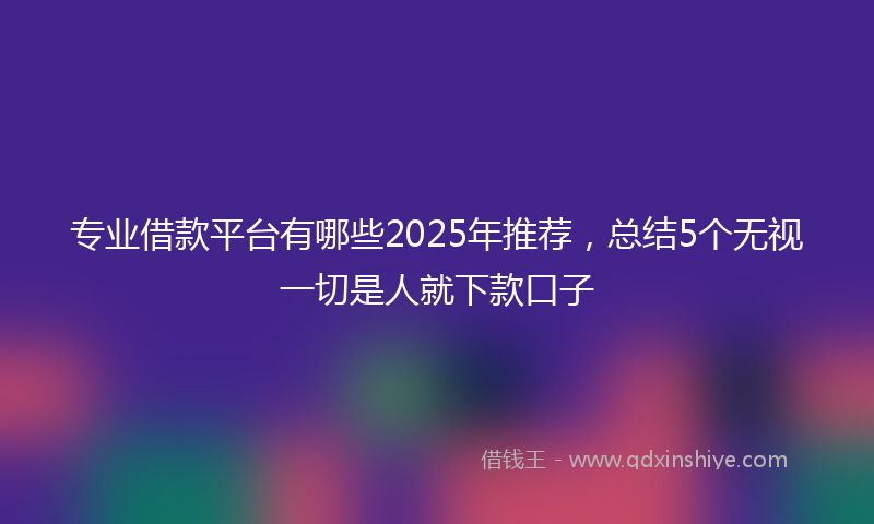 专业借款平台有哪些2025年推荐，总结5个无视一切是人就下款口子
