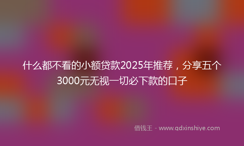 什么都不看的小额贷款2025年推荐，分享五个3000元无视一切必下款的口子