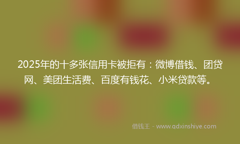 2025年的十多张信用卡被拒有：微博借钱、团贷网、美团生活费、百度有钱花、小米贷款等。