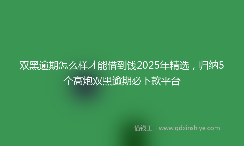 双黑逾期怎么样才能借到钱2025年精选，归纳5个高炮双黑逾期必下款平台