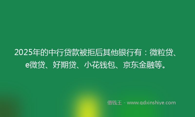 2025年的中行贷款被拒后其他银行有：微粒贷、e微贷、好期贷、小花钱包、京东金融等。