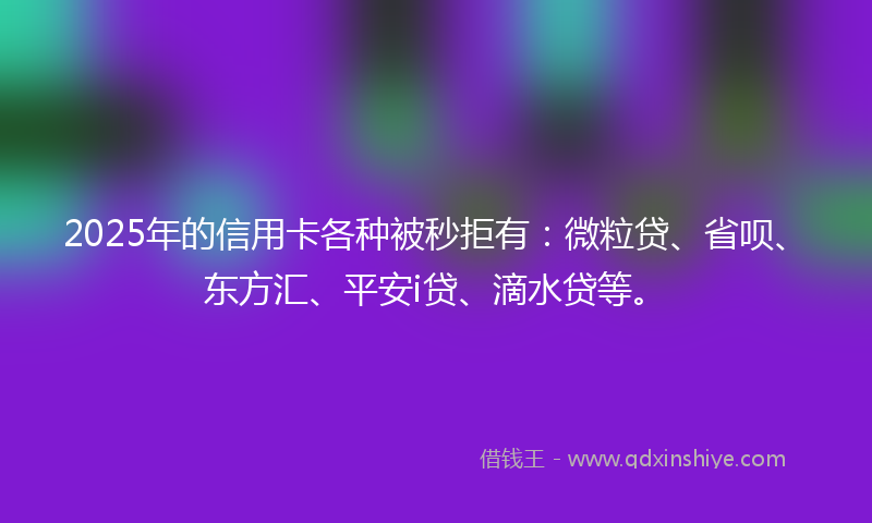 2025年的信用卡各种被秒拒有：微粒贷、省呗、东方汇、平安i贷、滴水贷等。
