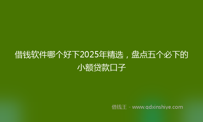 借钱软件哪个好下2025年精选，盘点五个必下的小额贷款口子