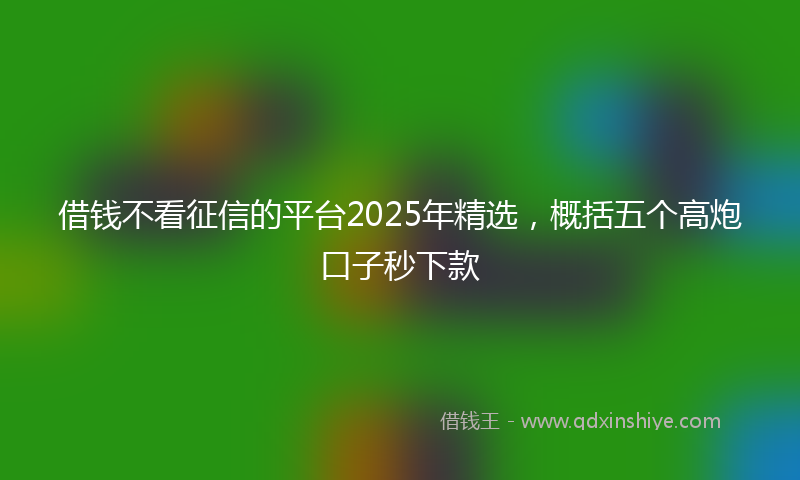 借钱不看征信的平台2025年精选，概括五个高炮口子秒下款