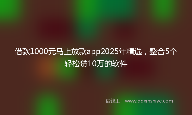借款1000元马上放款app2025年精选，整合5个轻松贷10万的软件