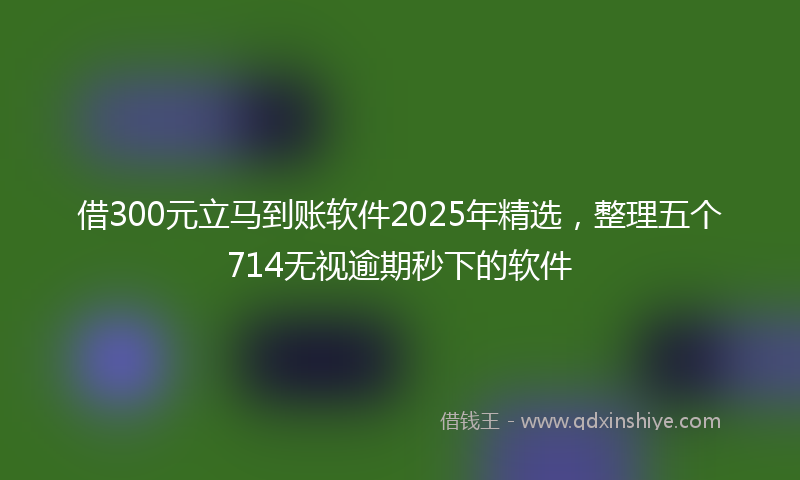 借300元立马到账软件2025年精选，整理五个714无视逾期秒下的软件