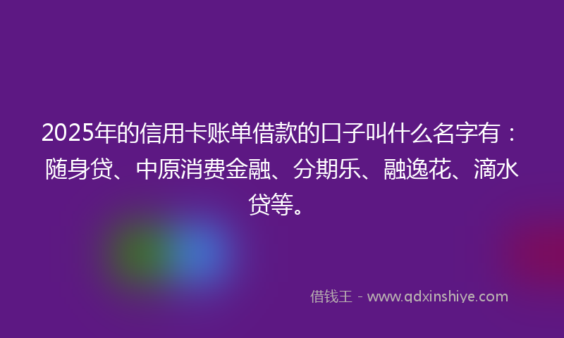 2025年的信用卡账单借款的口子叫什么名字有：随身贷、中原消费金融、分期乐、融逸花、滴水贷等。