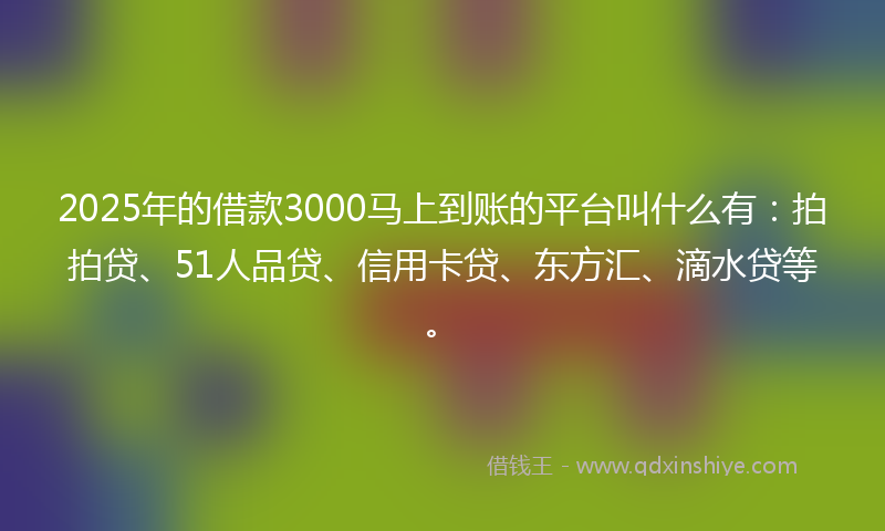 2025年的借款3000马上到账的平台叫什么有：拍拍贷、51人品贷、信用卡贷、东方汇、滴水贷等。