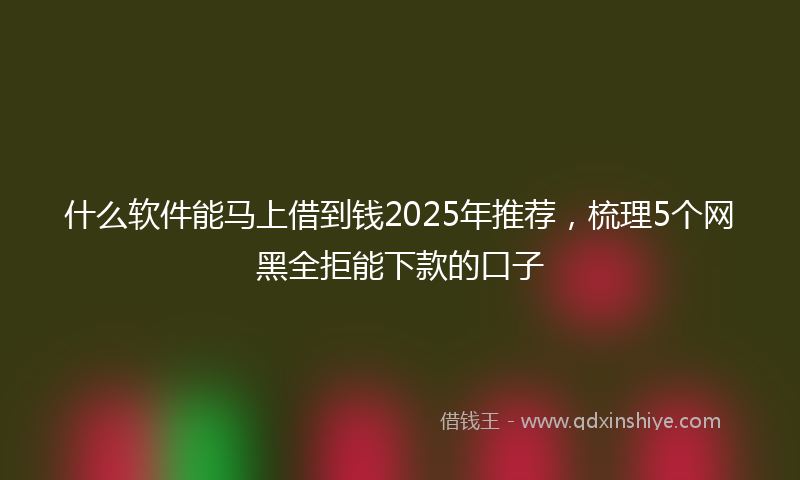 什么软件能马上借到钱2025年推荐，梳理5个网黑全拒能下款的口子