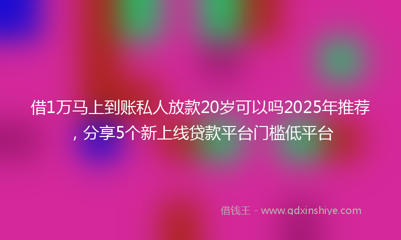 借1万马上到账私人放款20岁可以吗2025年推荐，分享5个新上线贷款平台门槛低平台