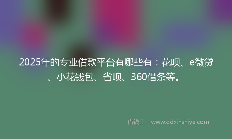 2025年的专业借款平台有哪些有：花呗、e微贷、小花钱包、省呗、360借条等。