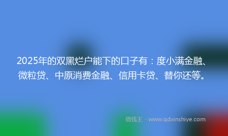 2025年的双黑烂户能下的口子有：度小满金融、微粒贷、中原消费金融、信用卡贷、替你还等。