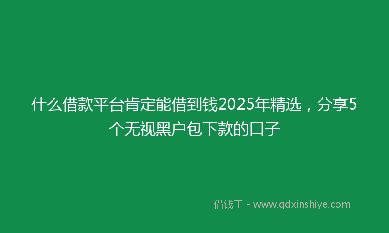 什么借款平台肯定能借到钱2025年精选，分享5个无视黑户包下款的口子