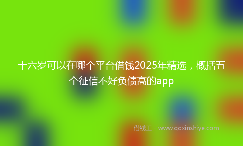 十六岁可以在哪个平台借钱2025年精选，概括五个征信不好负债高的app