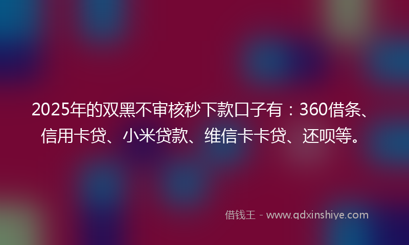 2025年的双黑不审核秒下款口子有：360借条、信用卡贷、小米贷款、维信卡卡贷、还呗等。