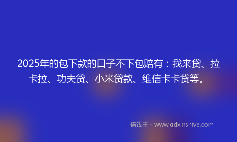 2025年的包下款的口子不下包赔有：我来贷、拉卡拉、功夫贷、小米贷款、维信卡卡贷等。