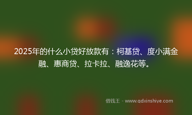 2025年的什么小贷好放款有：柯基贷、度小满金融、惠商贷、拉卡拉、融逸花等。