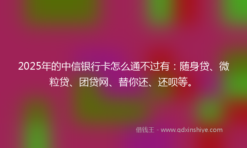 2025年的中信银行卡怎么通不过有：随身贷、微粒贷、团贷网、替你还、还呗等。