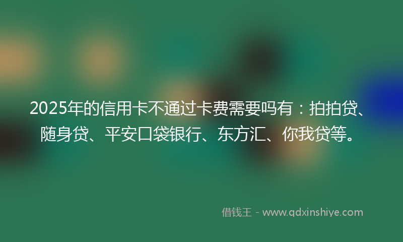 2025年的信用卡不通过卡费需要吗有：拍拍贷、随身贷、平安口袋银行、东方汇、你我贷等。