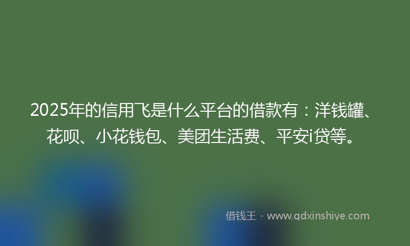 2025年的信用飞是什么平台的借款有：洋钱罐、花呗、小花钱包、美团生活费、平安i贷等。